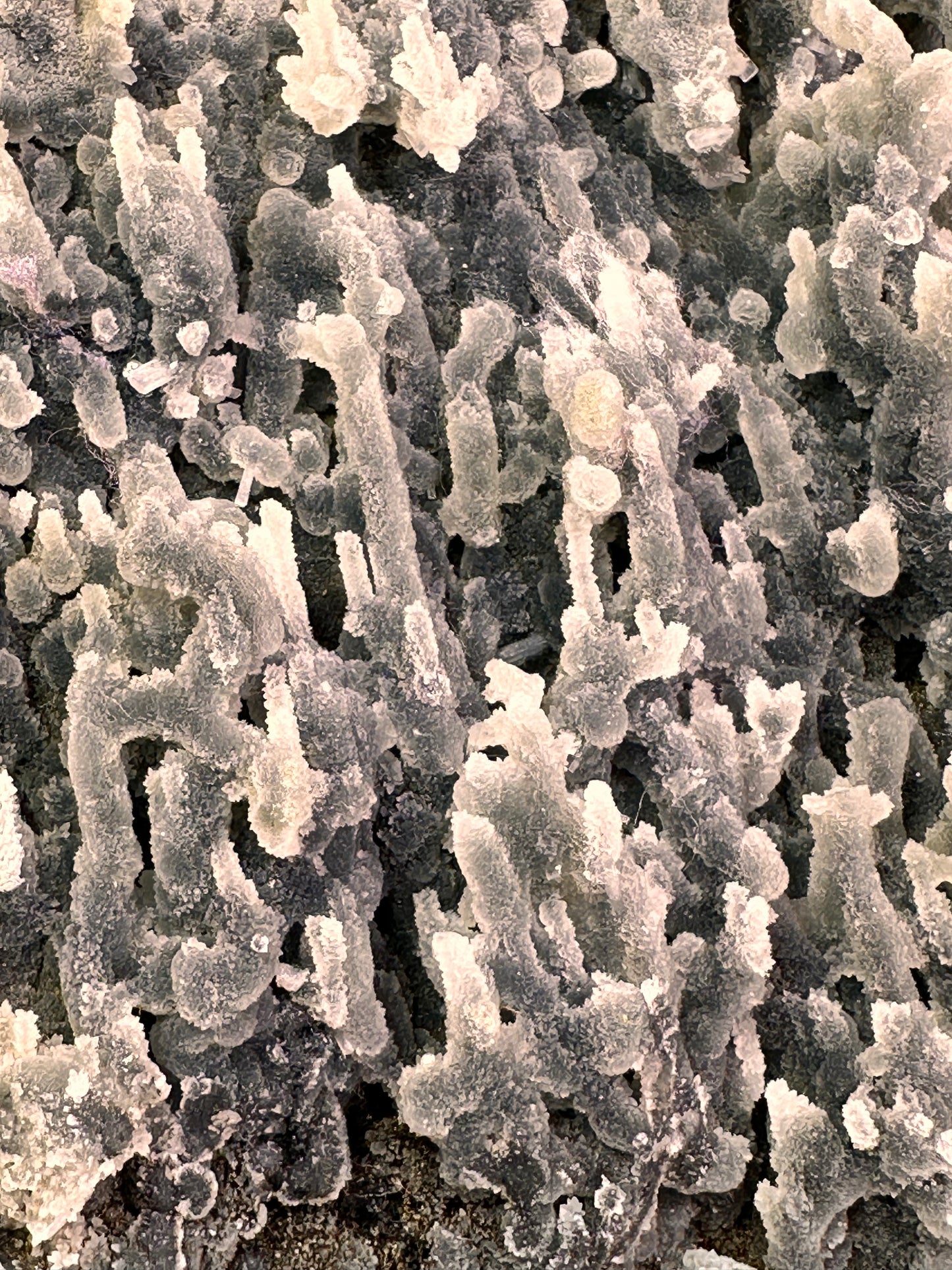 Chalcedony & Apophyllite | India