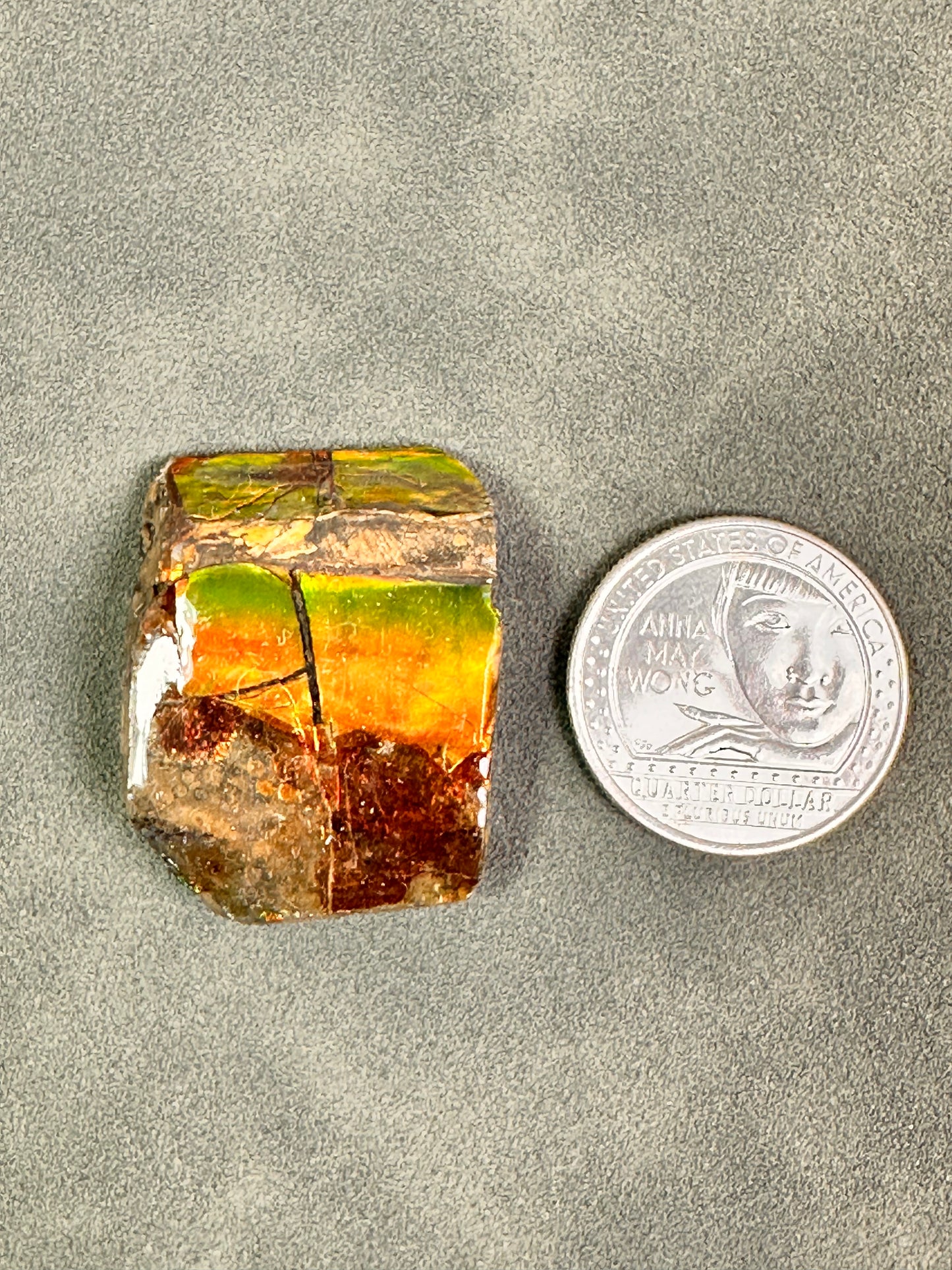 Ammolite | Canada