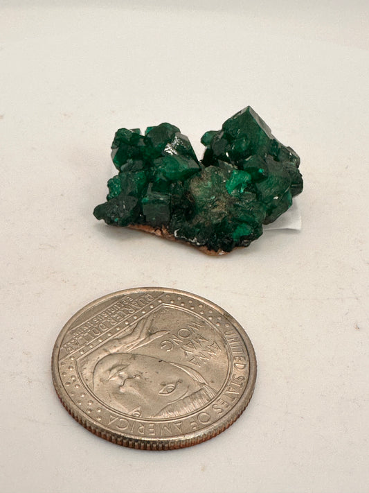 Dioptase some with Malachite
