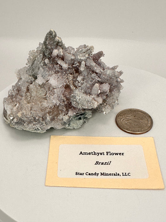 Amethyst flower