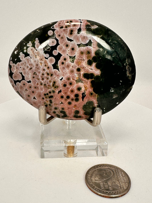 Kabamby Jasper Palms (Ocean Jasper) – Madagascar