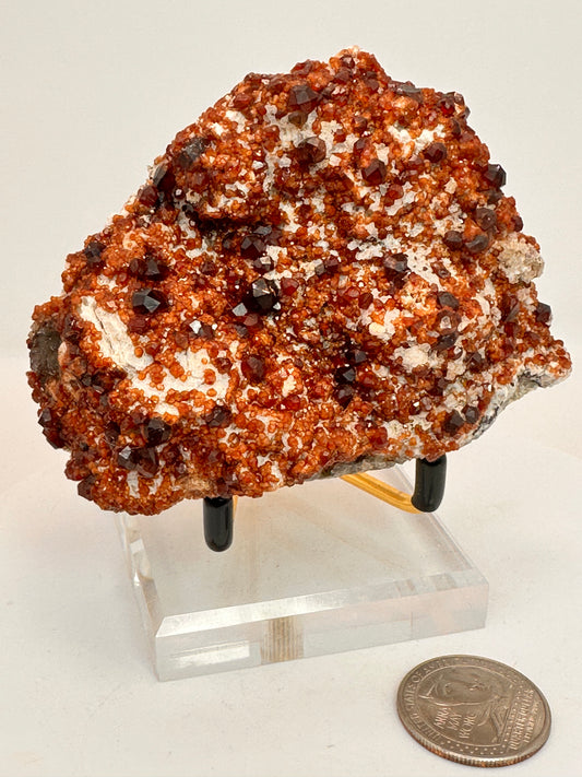 Spessartine Garnet and Smoky Quartz on Feldspar | China
