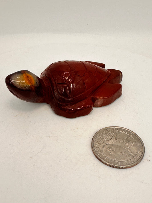 Mookaite Turtle — Australia
