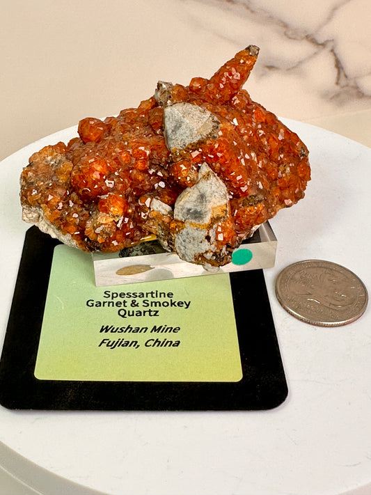 Spessartine Garnet & Smoky Quartz | Wushan Mine, China