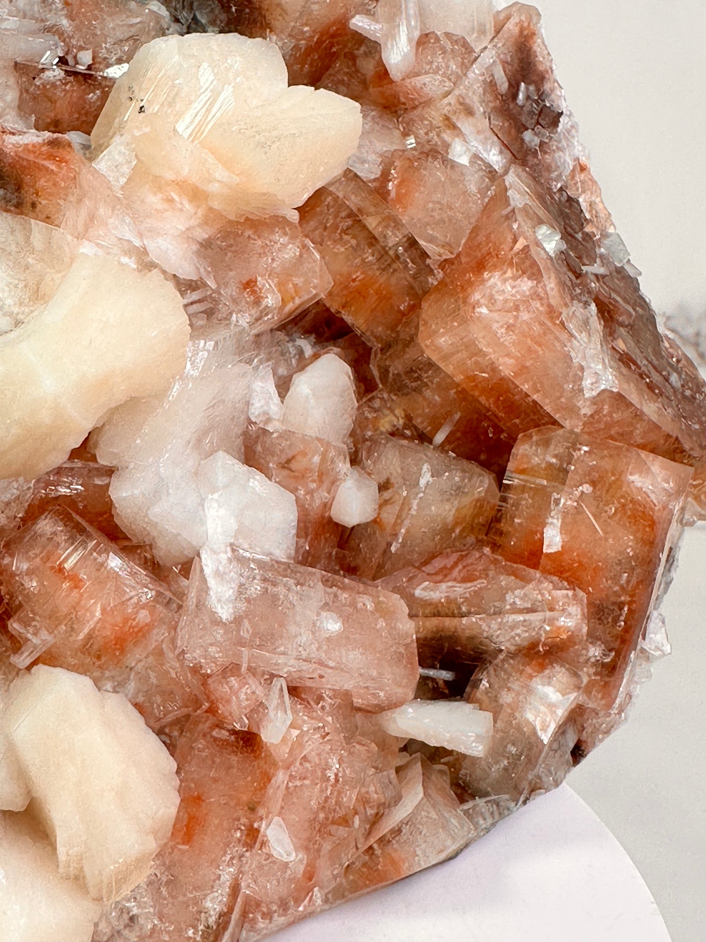 Red Apophyllite with Stilbite | India